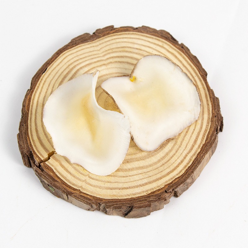 Hai Di Coconut Dried Slices Sea Coconut Herbal Ingredient for Soup and Dessert Bulk Weighted - Image 4