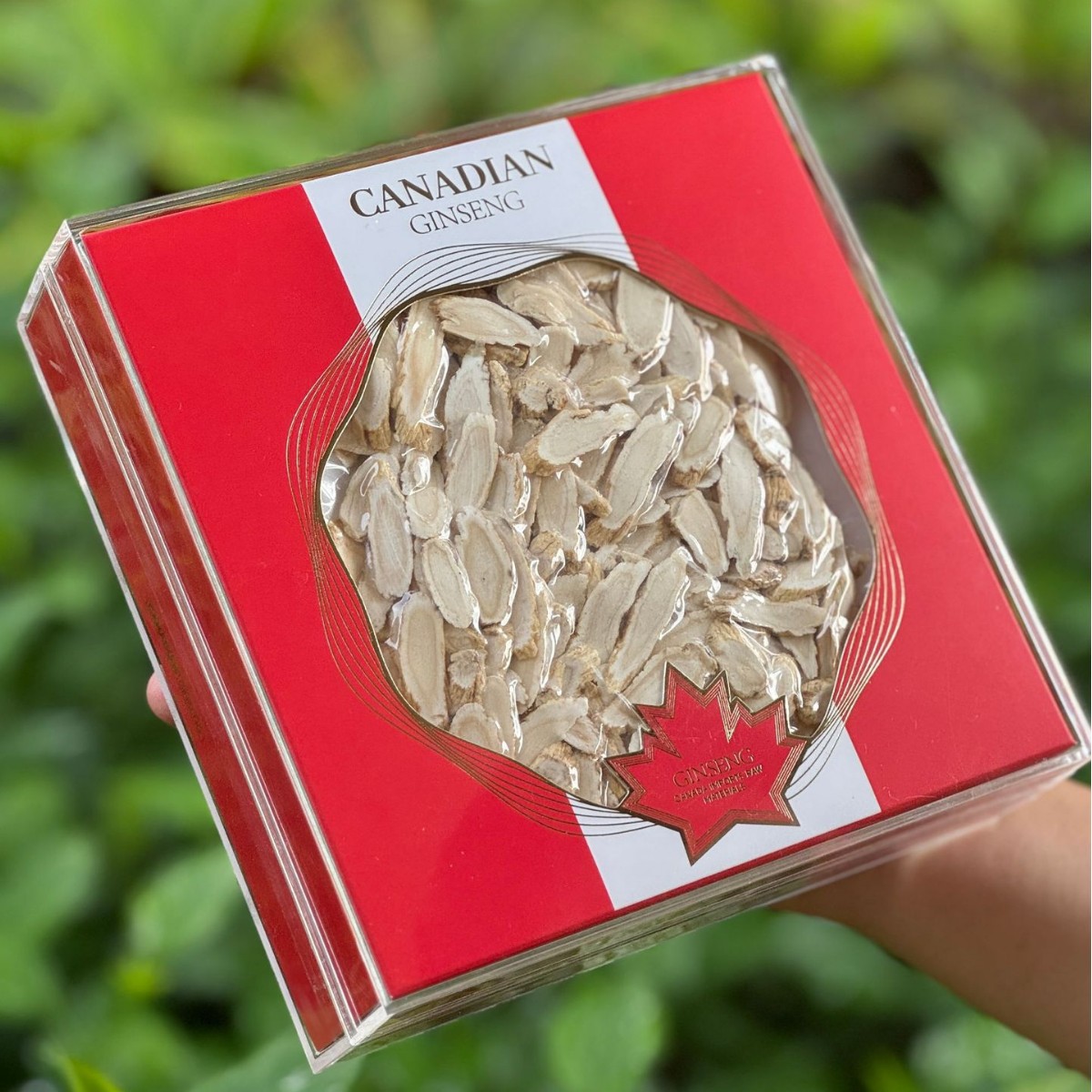 Canadian American Ginseng Slanted Slices 80g Gift Box Soft Branch Flower Flag Ginseng - Image 2