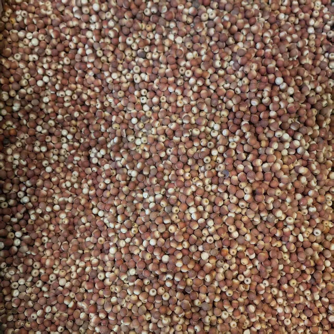 Dried Gorgon Fruit Qian Shi 500g Sulfur-Free Peeled Euryale Seeds for Soup Congee and Herbal Cooking - Image 4