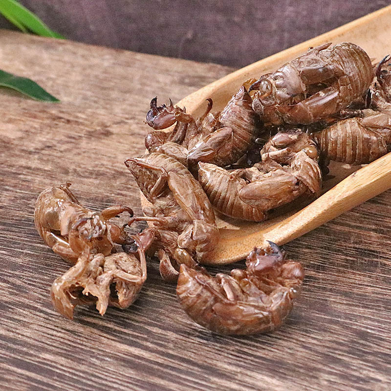 Cicada Slough Chan Tui 500g Dried Traditional Chinese Herb for Decoction and Tea - Image 3