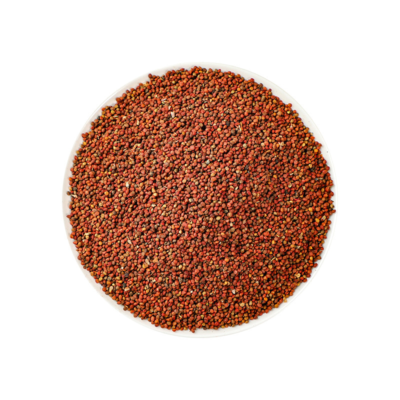Chu Shi Zi (Broussonetia papyrifera Fruit) — Dried Food Herb Seed for Tea & Soup - Image 5