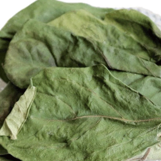 Dried Persimmon Leaves Shi Ye 500g Natural Whole Leaf Herbal Tea Material - Image 4
