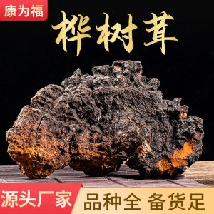 Chaga Mushroom Powder (Inonotus obliquus) — Wild Northeast Birch Chaga, 500g