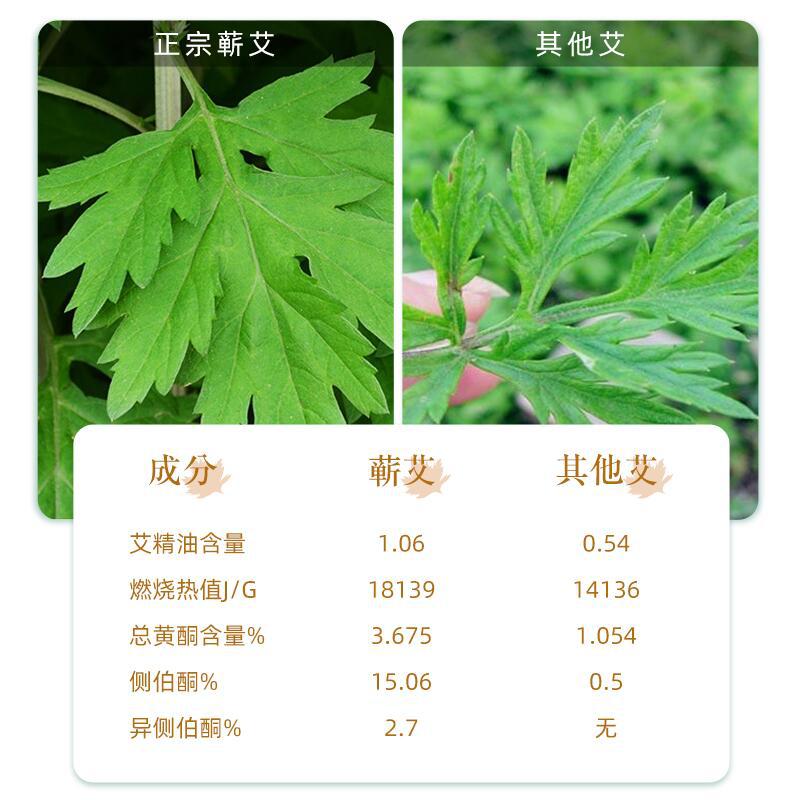 Premium Three Year Aged Qichun Mugwort Floss 8 Dao Grade for Moxibustion - Image 4
