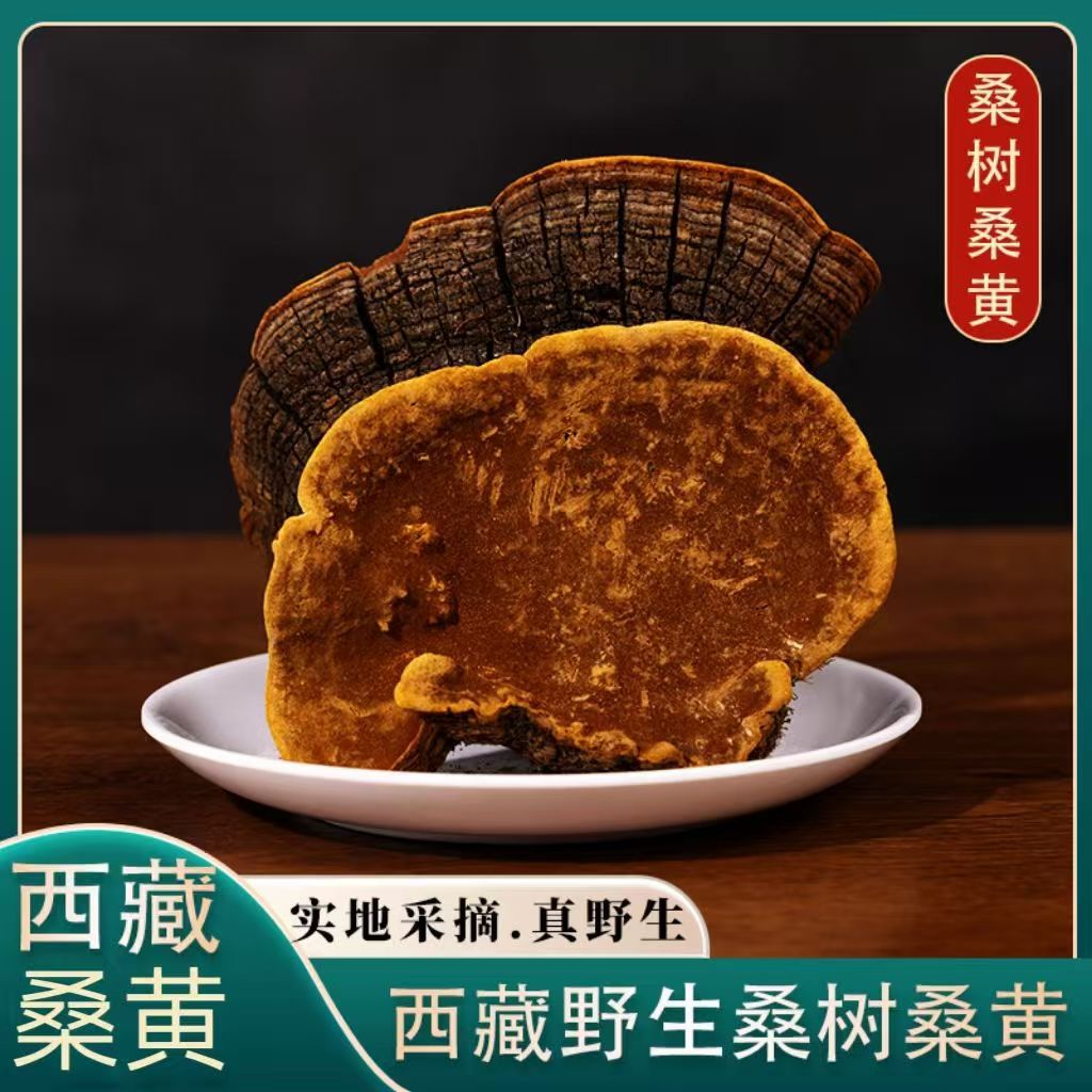 Sang Huang Mulberry Yellow Fungus Sliced 100g Bag Traditional Herbal Wellness for Middle Aged and Older Adults - Image 3