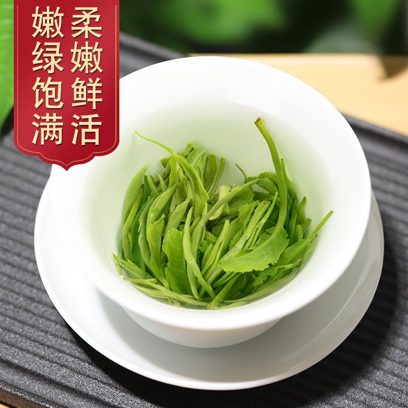 Biluochun Green Tea 2024 Spring Harvest Loose Leaf 500g Bag - Image 3