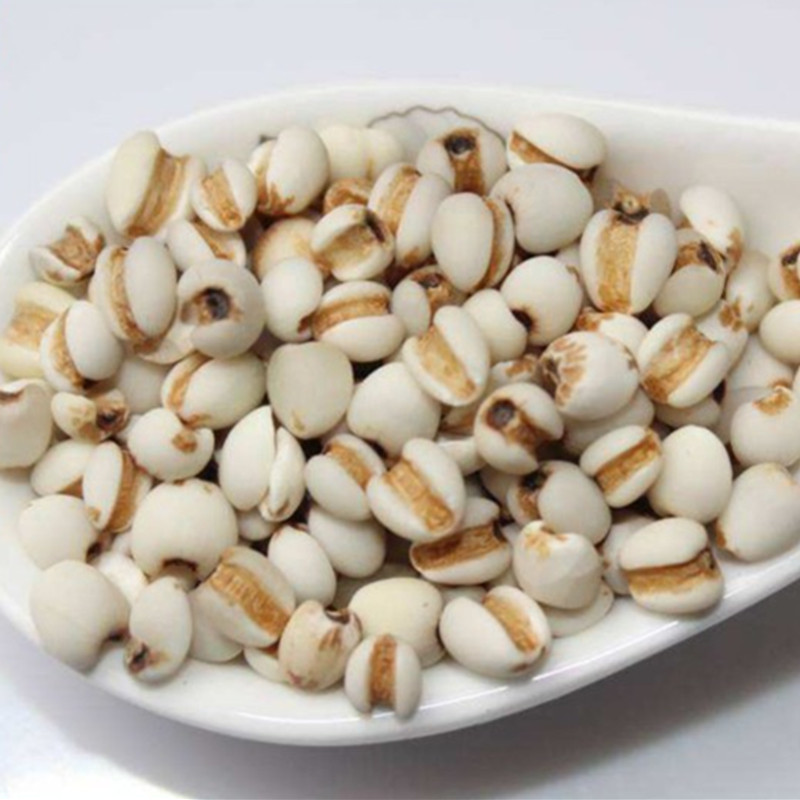 Coix Seed (Coix lacryma-jobi) — Guizhou Yi Mi Ren, Roasted Ready-to-Eat Job's Tears - Image 2