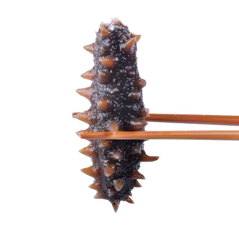 Ready to Eat Sea Cucumber Frozen Cooked 500g Vacuum Packed Seafood Supply - Image 5