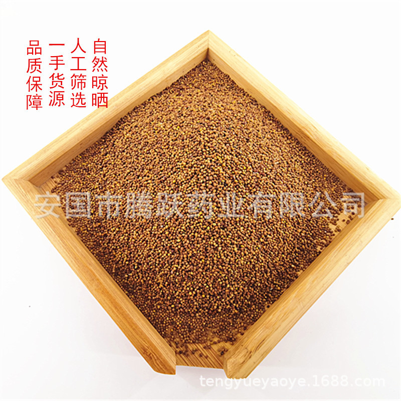 Dried Cuscuta Seeds Tu Si Zi 1kg Natural Sun Dried Chinese Dodder Seeds for Decoction and Tea - Image 2