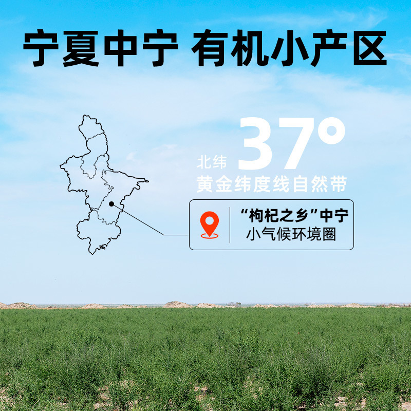 Premium Ningxia Goji Berry Gift Box 180g First Harvest Grade Gou Qi Zi Ready to Eat - Image 2