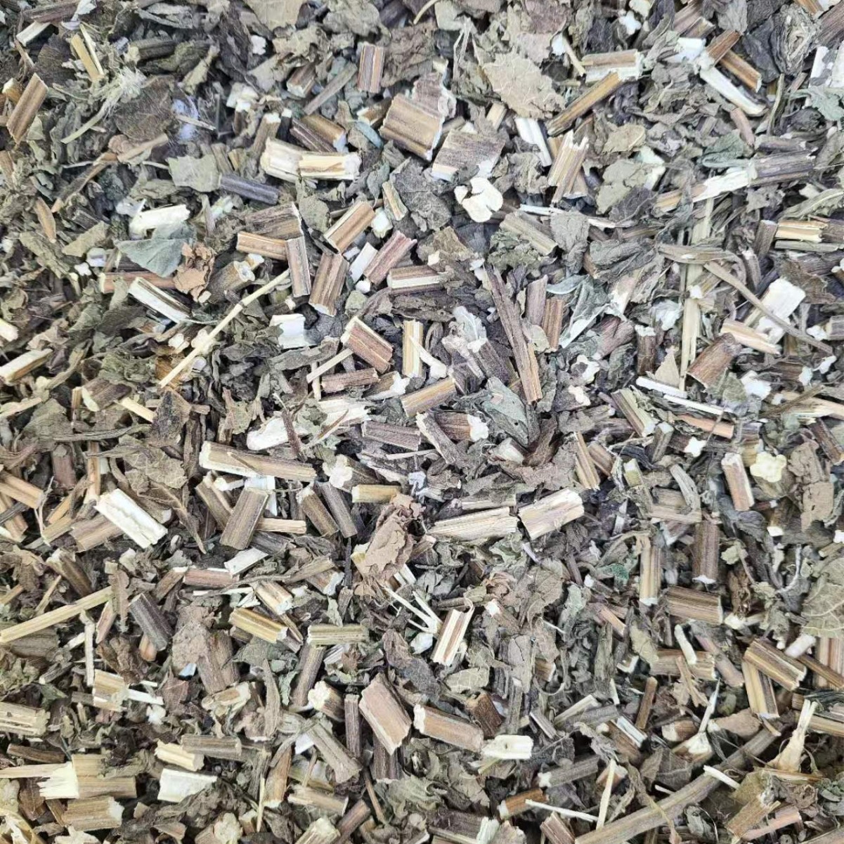 Xi Huang Cao (Rabdosia serra) — Dried Chinese Herbal Decoction Pieces, 500g - Image 2