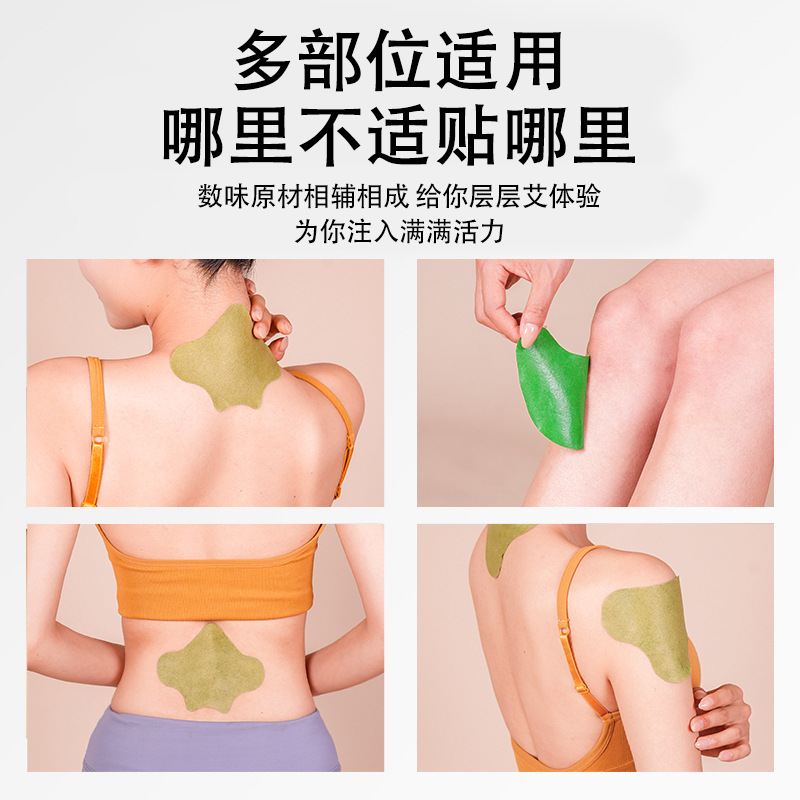 Moxa Herbal Patch Ai Cao Tie Self Heating Neck Knee Back Joint Warming Topical Sticker 12 Patches - Image 2