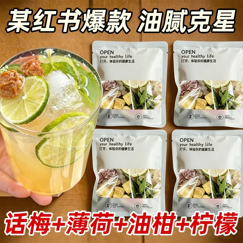 Plum Amla Mint Fruit Tea Bags 200g Cold Brew Summer Refreshing Blend - Image 2