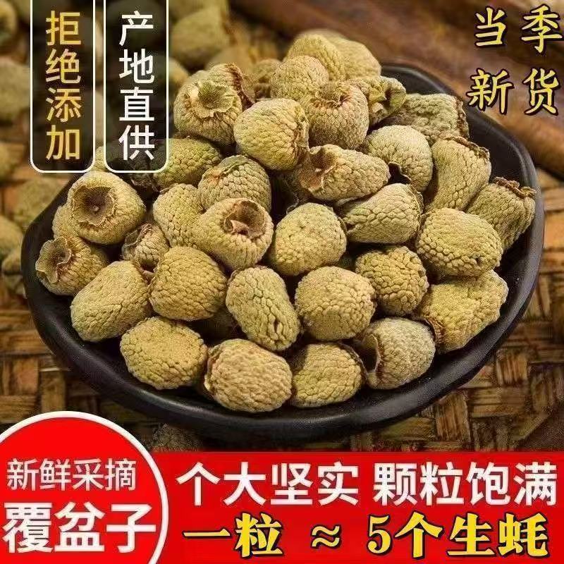 Fu Pen Zi Dried Raspberry Fruit 500g Whole Chinese Herbal Berries Fu Pen Zi 覆盆子 for Culinary and Traditional Use - Image 2