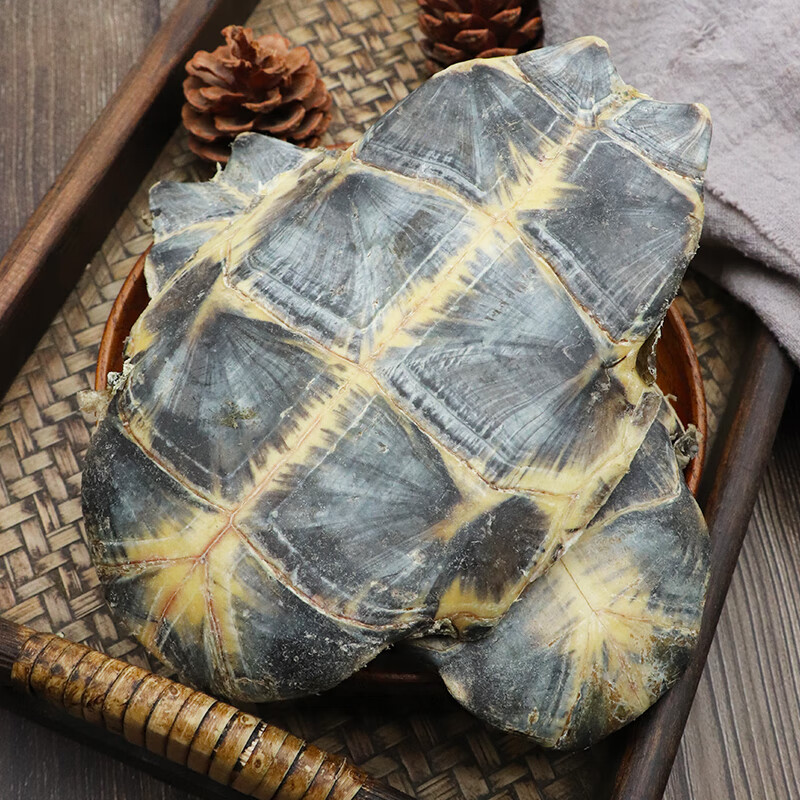 Raw Tortoise Plastron Gui Ban 500g Dried Turtle Shell Traditional Chinese Herbal Material - Image 4