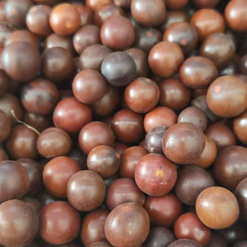 Sun Fruit (Tai Yang Guo) — Dried Food Herb for Cooking & Herbal Soups, 500g - Image 2