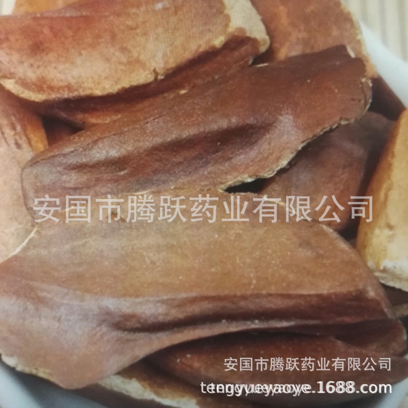 Xiang Tian Guo Seeds Dried Fructus Homalomena Herbal Raw Material 500g - Image 4