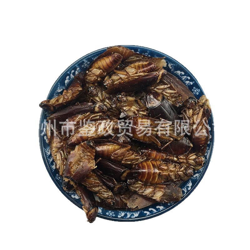 Dried American Cockroach Periplaneta Americana Fei Lian TCM Raw Herb 500g - Image 5