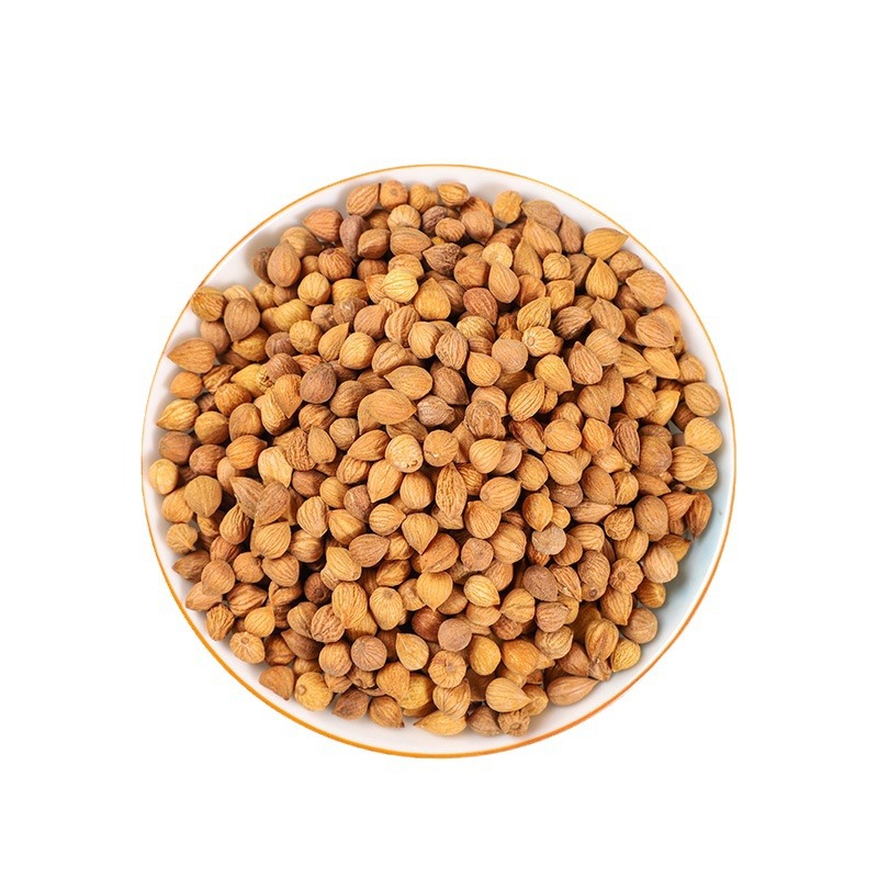 Yu Li Ren (Prunus Seed) — Dried Food Herb for Tea & Soup, 500g - Image 5