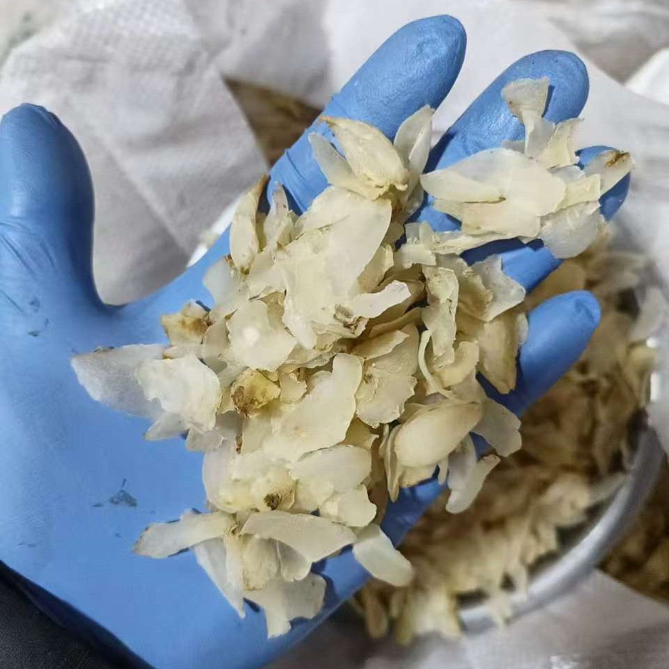 Dried Lanzhou Lily Bulbs Sulfur Free 500g for Congee and Soup - Image 3