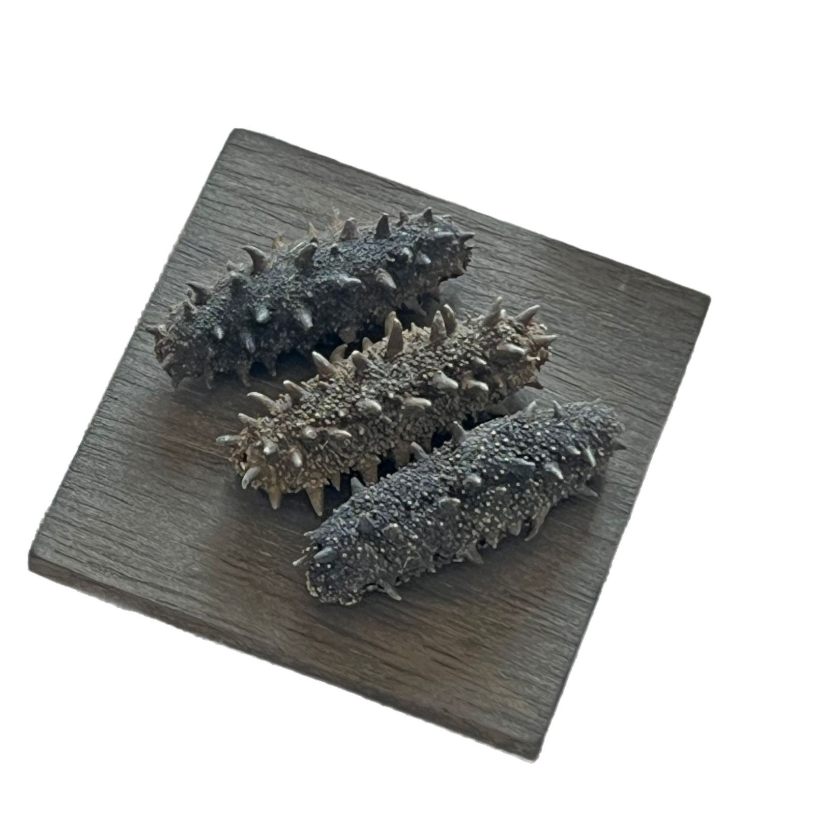 Pure Lightly Dried Liaoning Sea Cucumber 6-7 Year Grade A 50g Gift Box - Image 5