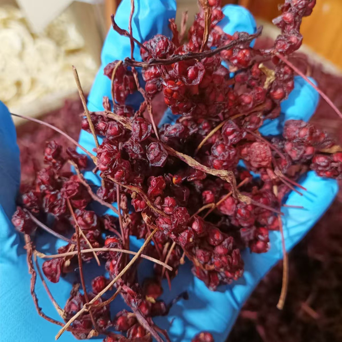 Dried Schisandra Berry Wu Wei Zi 500g Bagged Fresh Harvest for Tea and Wine Infusion - Image 3