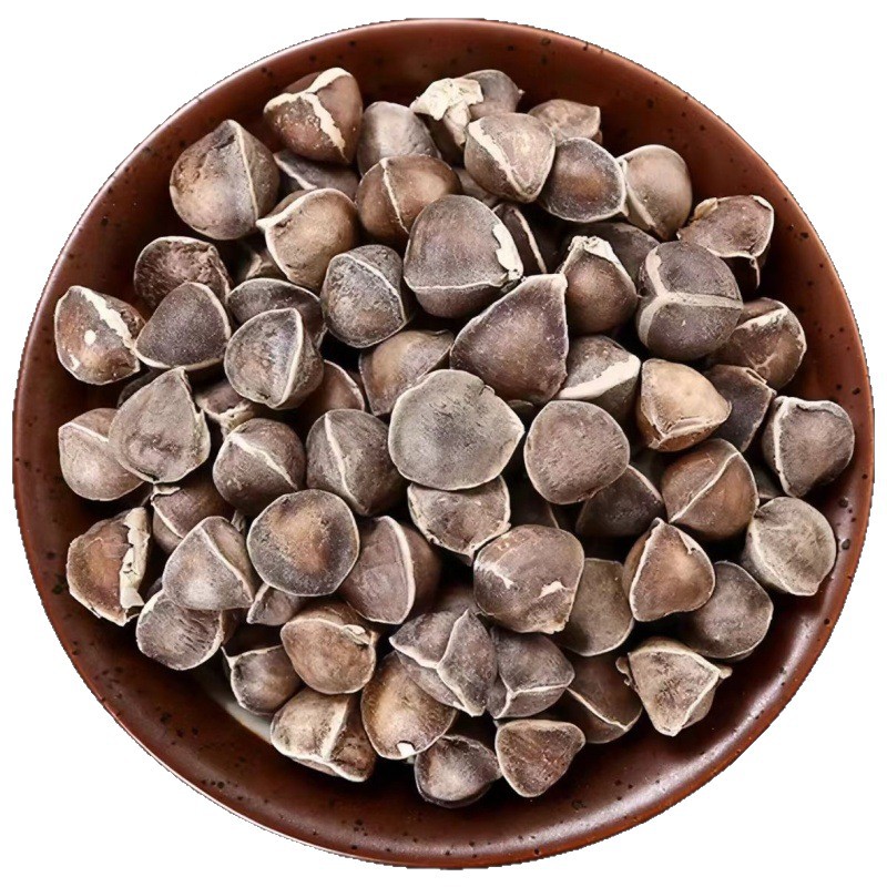 Moringa Seeds (Moringa oleifera) — Dried Food-Herb Seeds, 500g Yunnan Origin - Image 5