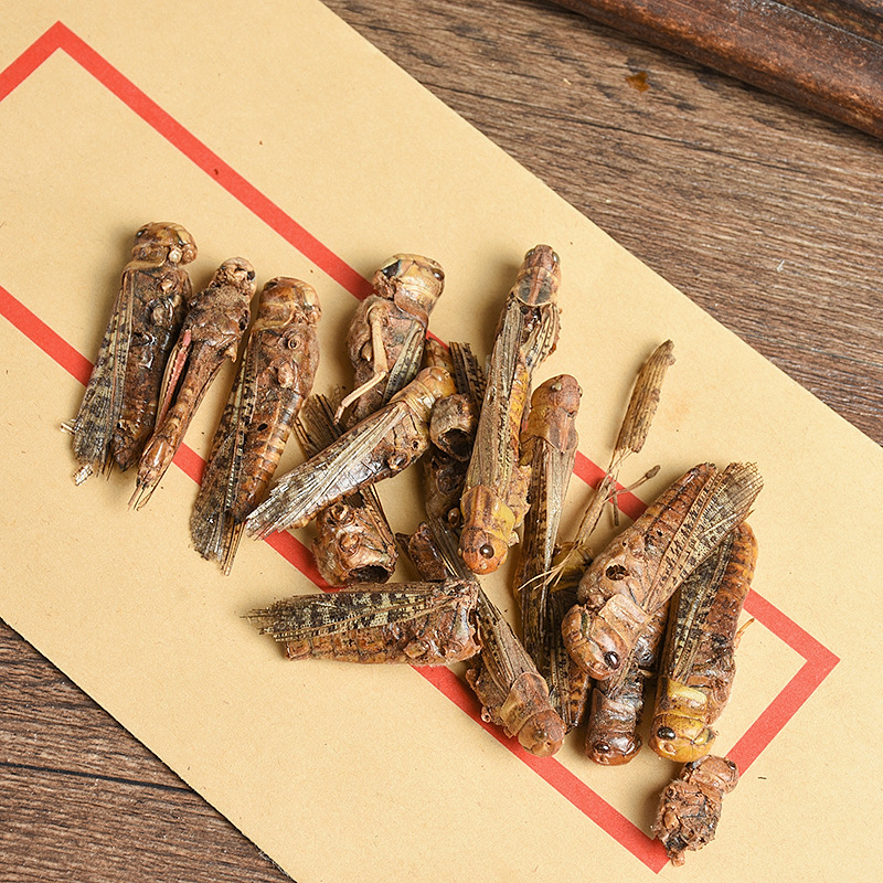 Dried Locust (Locusta migratoria) — Edible Farm-Raised Grasshopper, 500g Bulk Food Ingredient - Image 4