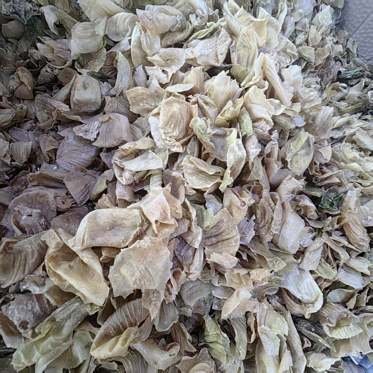 Stir-Fried Chicken Gizzard Membrane Ji Nei Jin Sliced TCM Herb 500g Anhui Origin - Image 2
