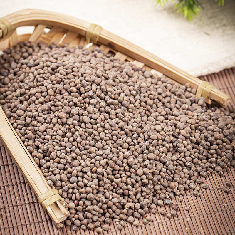 Garden Balsam Seed Ji Xing Zi 500g Dried Impatiens Balsamina Seeds Traditional Chinese Herb - Image 3