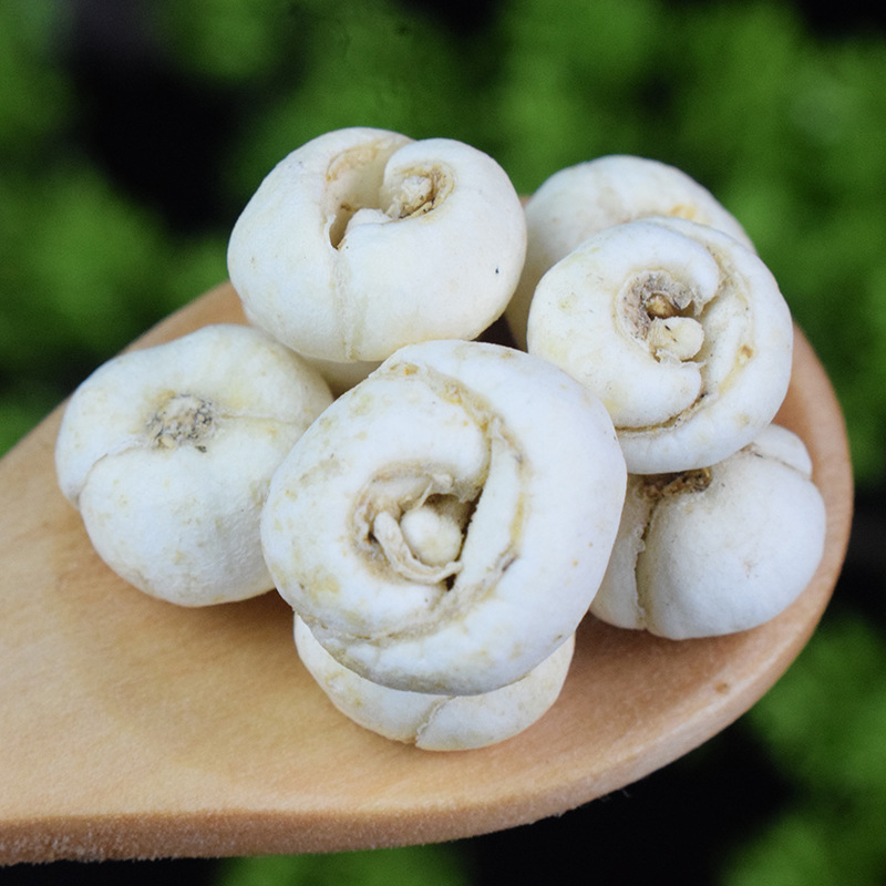 Fritillaria Bulb Chuan Bei Mu Dried Chinese Herbal Bulbs for Decoction and Traditional Use 500g - Image 3