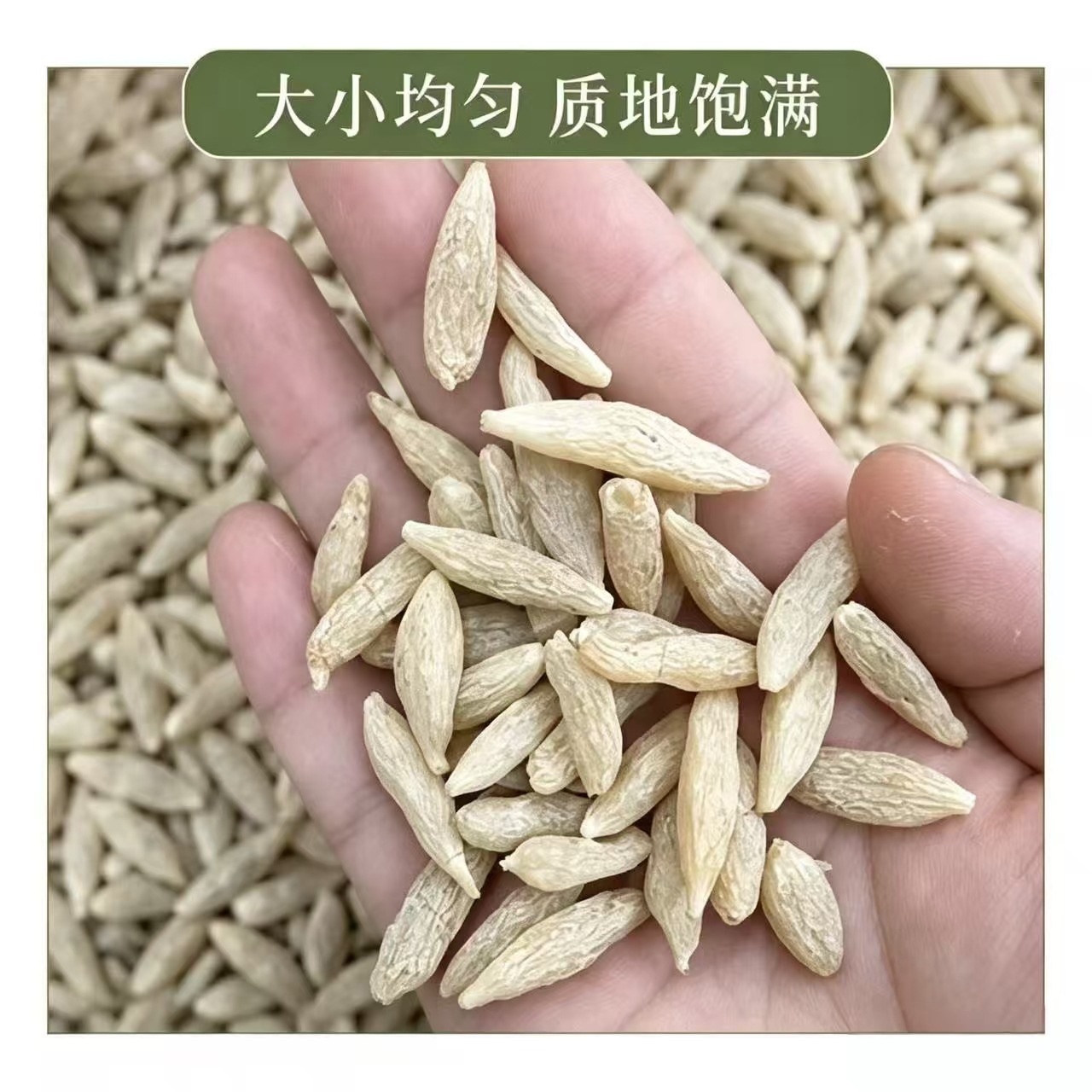Sichuan Mai Dong Dried Ophiopogon Root 1000g Bulk Herb for Soup and Tea - Image 4
