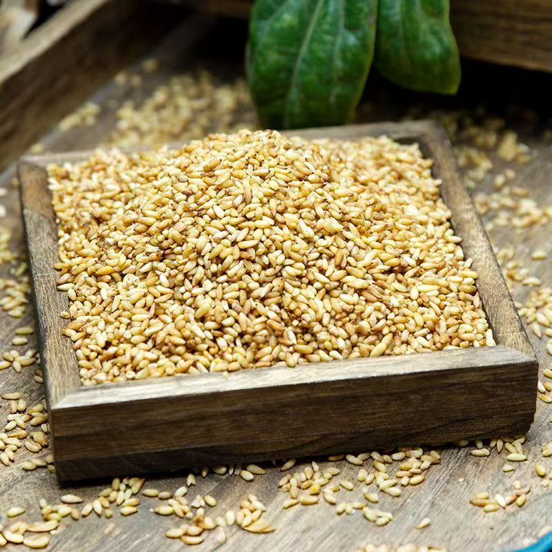 Dried Platycladus Seed Kernel Bai Zi Ren 500g Whole Kernel Culinary Herb - Image 3
