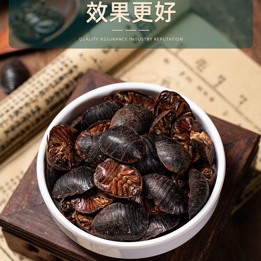 Dried Ground Beetle Tu Yuan 土元 Whole Insect Traditional Chinese Herb 250g - Image 3