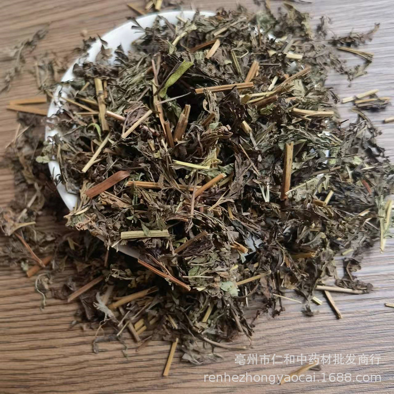 Wu Jiu Dried Herb Sazenia japonica Whole Plant Traditional Chinese Herbal Tea Material - Image 2