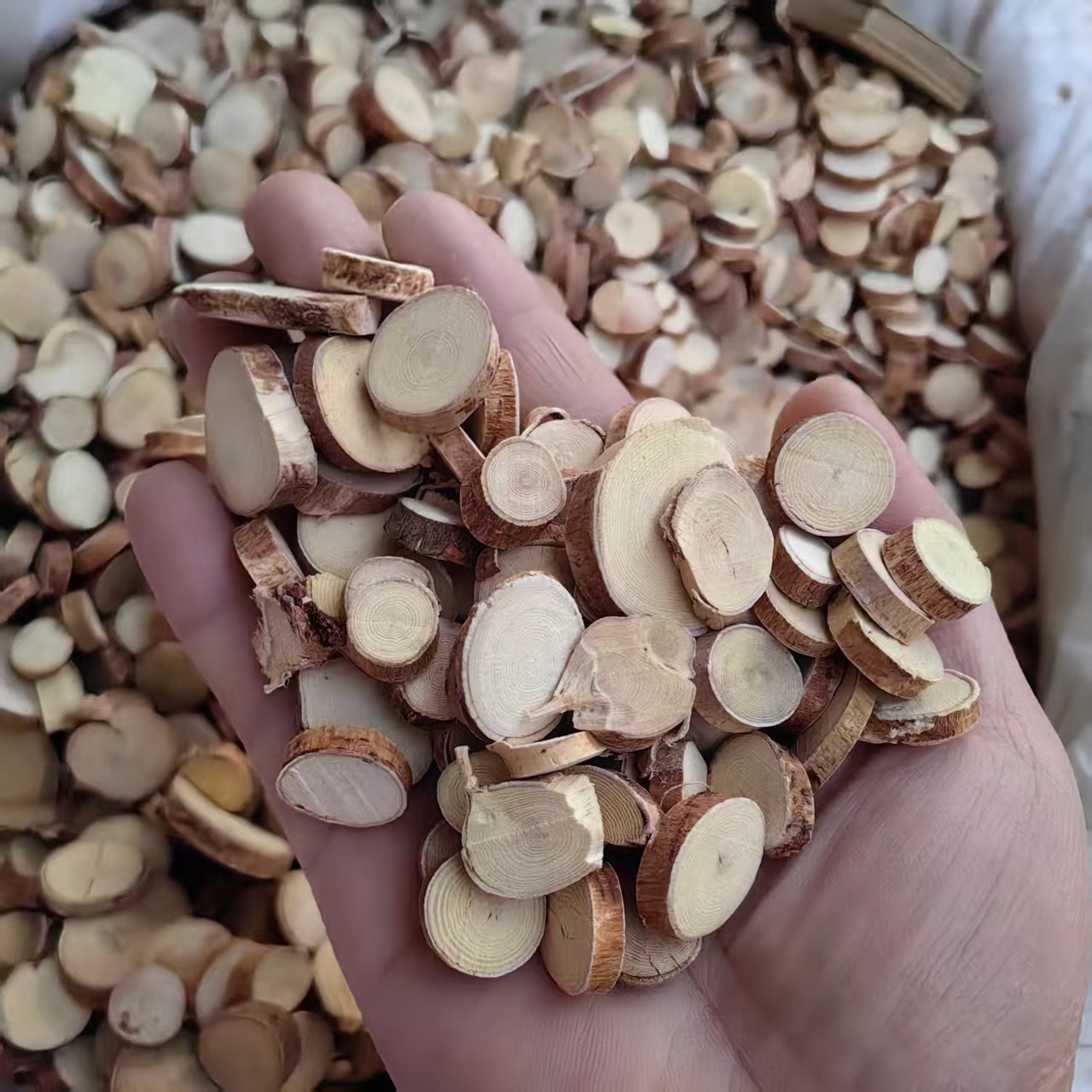 Wu Zhi Mao Tao Powder 500g Ficus Hirta Root Powder Guangxi Origin Sun Dried No Sulfur - Image 2