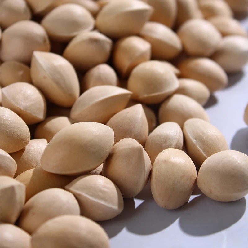 Dried Ginkgo Seeds Bai Guo 500g Ginkgo biloba Nuts for Soup and Culinary Use - Image 3
