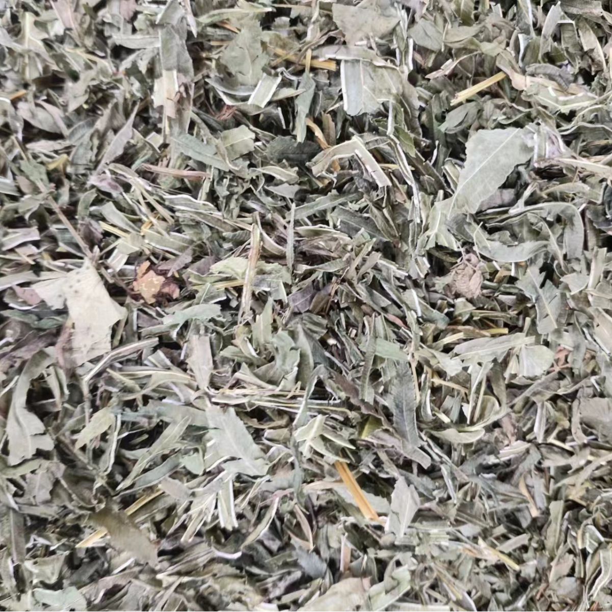 Feng Wei Cao (Pteris multifida) — Dried Chinese Herb, Powder Option, 500g - Image 3