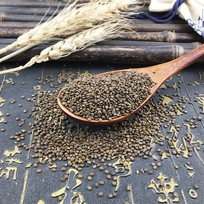 Dried Sha Yuan Zi Seeds Sha Yuan Zi Traditional TCM Herb for Decoctions and Teas 500g - Image 2