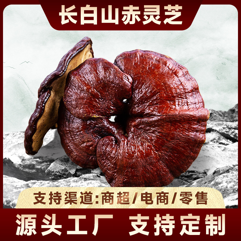 Dried Red Reishi Mushroom Whole Fruiting Body Changbai Mountain for Tea Soup and Wine Soaking - Image 2