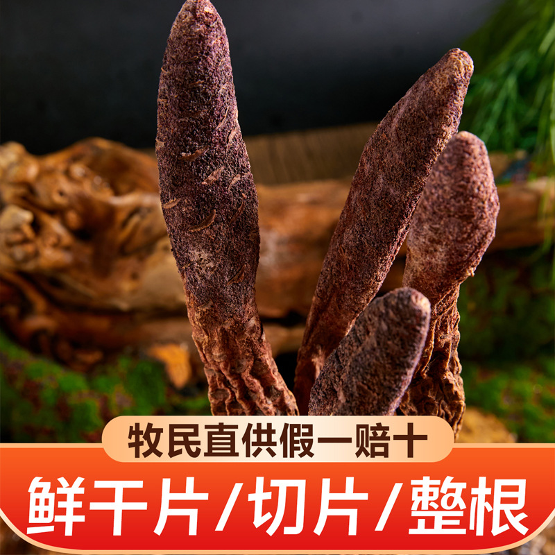 Dried Cynomorium Songaricum Whole Roots Suo Yang 500g Warming Herbal Tonic for Tea and Soup - Image 4