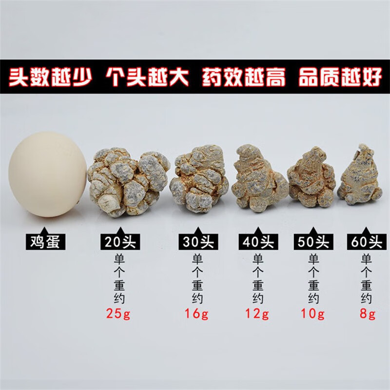 Wenshan Sanqi Notoginseng Root Tian Qi 40 Head Dried TCM Herb 500g - Image 2