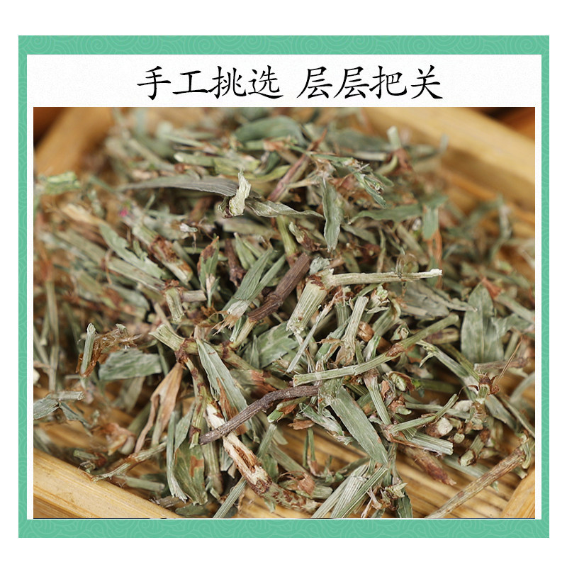 Wild Bian Xu Dried Polygonum Herb 500g Traditional Chinese Herbal Tea Ingredient - Image 3