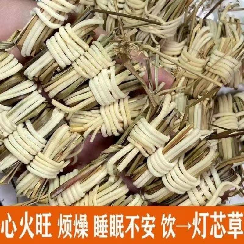 Deng Xin Cao (Juncus effusus) — Dried Unsulfured Medulla for Cooling Soups & Teas - Image 2