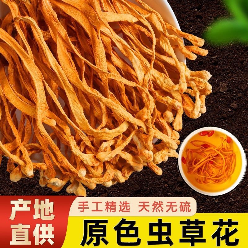 Dried Cordyceps Flower Chong Cao Hua 50g Broken Pieces Natural Sun Dried Soup Ingredient - Image 3