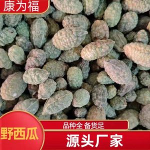Wild Watermelon Fruit (Capparis spinosa) — Dried TCM Herb, 500g, Powder Available