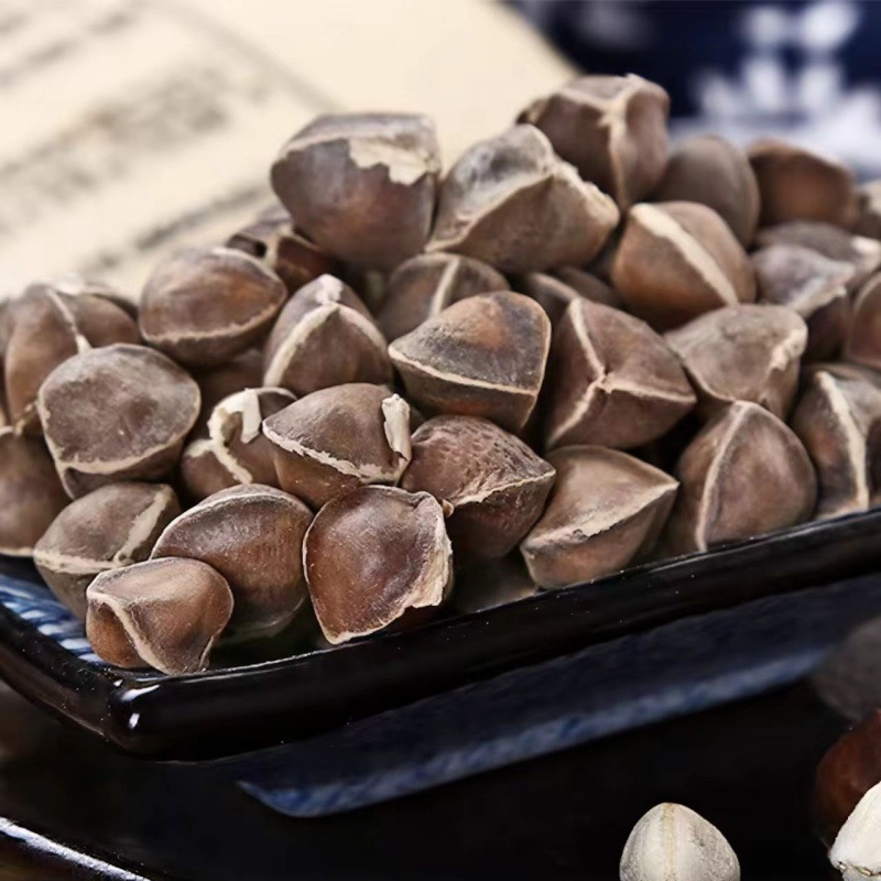 Moringa Seeds (Moringa oleifera) — Dried Food-Herb Seeds, 500g Yunnan Origin - Image 2