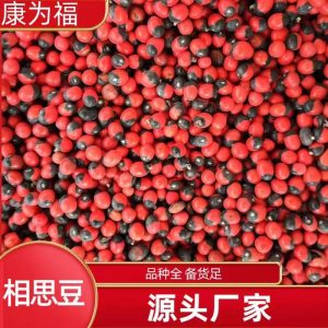 Xiang Si Dou (Abrus precatorius) — Dried Love Bean Seed for Traditional Herbal Use