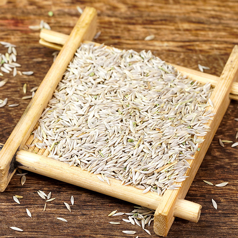 Bai Ju Sheng Seeds (Lactuca sativa) — Dried Food-Herb Seed for Tea, Decoction & Cooking - Image 4