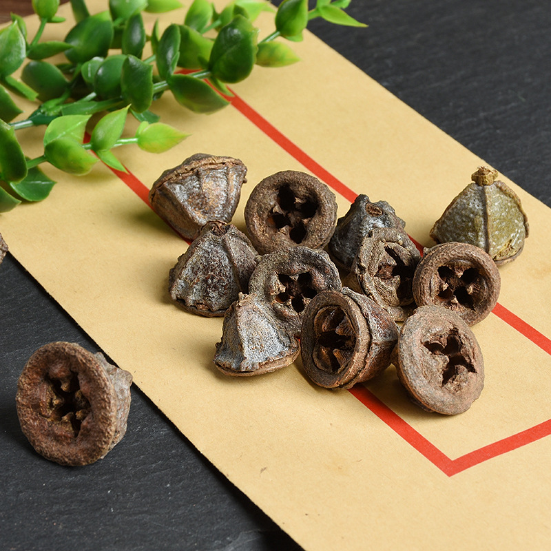 Yi Kou Zhong (Eucalyptus tereticornis) — Dried Herbal Fruit for Traditional Decoctions - Image 4